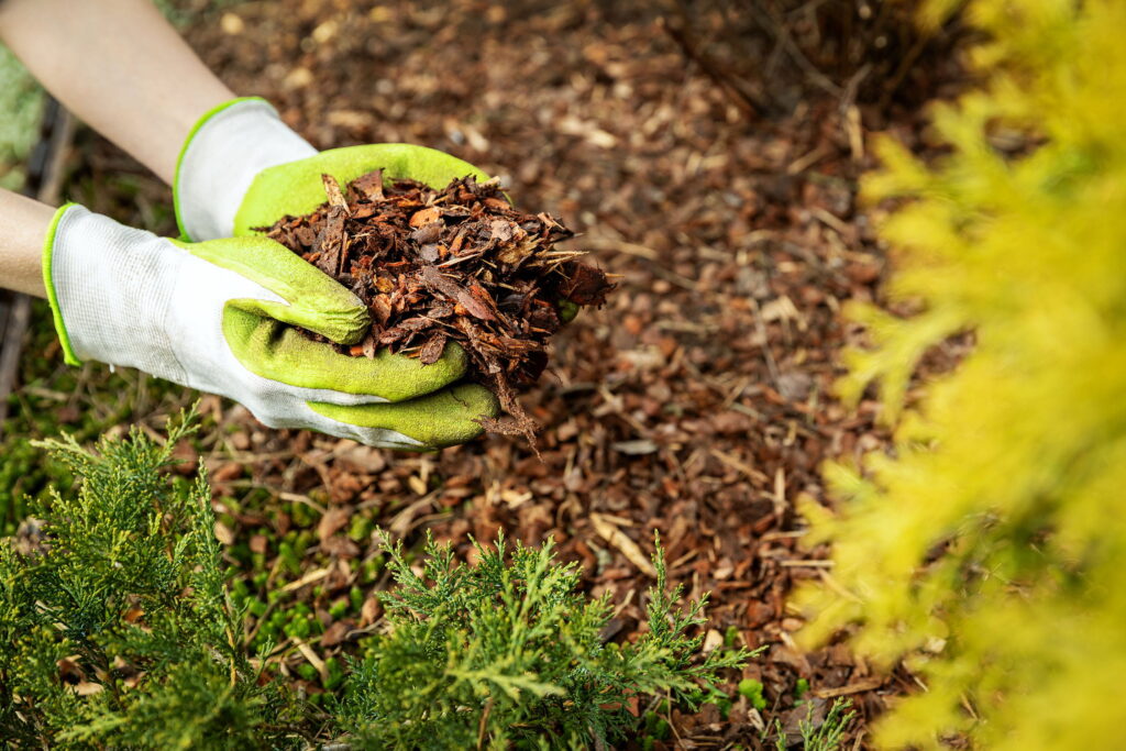 Mulching for Sustainable Landscape Outcomes